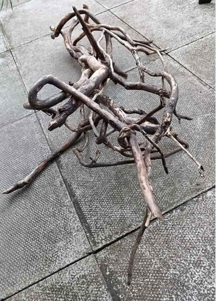Photo of free Twisted Driftwood Bundle (Longridge PR3) #1