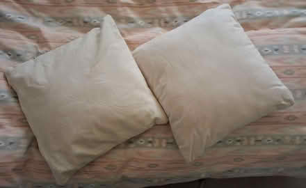 Photo of free 2 cushions (Northfields, Ealing W5) #2