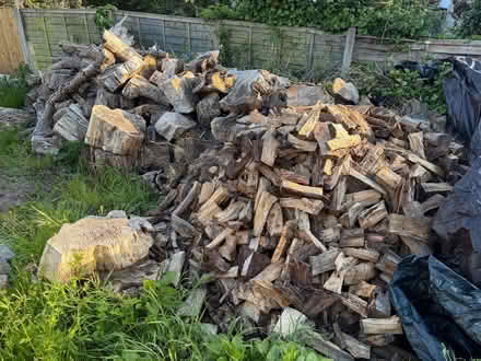 Photo of free Logs and split wood (Alvaston DE24) #1