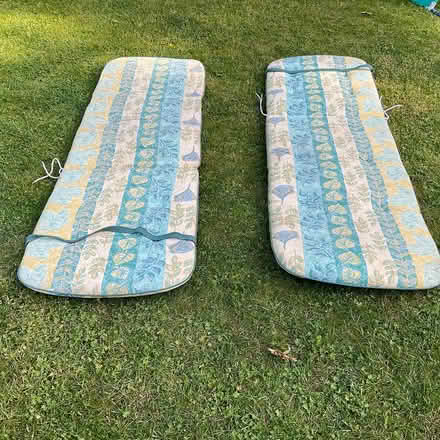 Photo of free Sun lounger cushions (Gerrards Cross SL9) #1