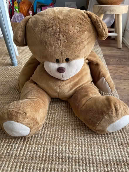 Photo of free Large teddy bear (Chigwell IG7) #1