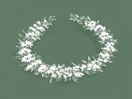 Photo of free Spirea Bride Wreath (Wimbledon Village SW19) #1