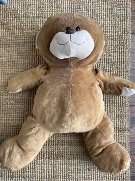 Photo of free Large teddy bear (Chigwell IG7) #2