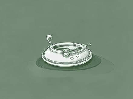 Photo of Any old jewellery not (The Ronkswood WR5) #1