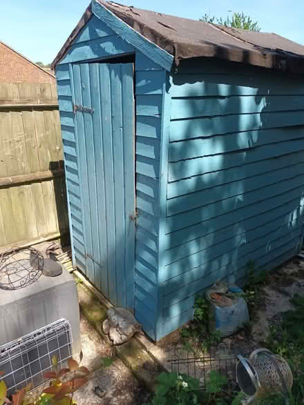 Photo of free Shed (CT2) #3
