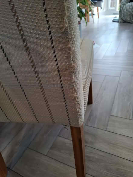 Photo of free 2 dining chairs (Garforth LS25) #2