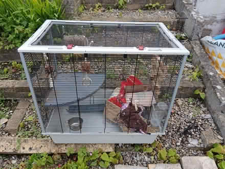 Photo of free Large Rodents Cage (Woodstock OX20) #1