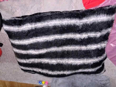 Photo of free Dog bed/cushion (Peachcroft OX14) #1