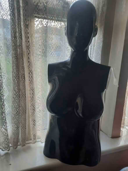 Photo of free Dummy [Black] (Erith, Kent DA8 3HU) #3