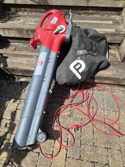 Photo of free Leaf blower & vacuum (Faulkland) #1