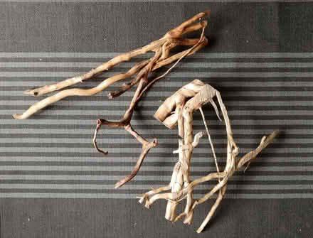 Photo of free Two pieces of Driftwood (Longridge PR3) #1