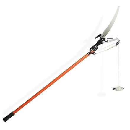 Photo of Tree Lopper (Banks PR9) #1