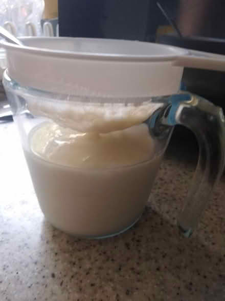 Photo of free Kefir grains (Newtown RG1) #2