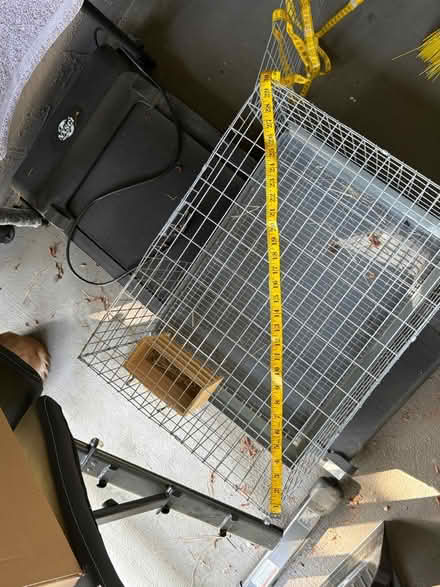 Photo of free Small pet cage (Alvarado-Niles) #1