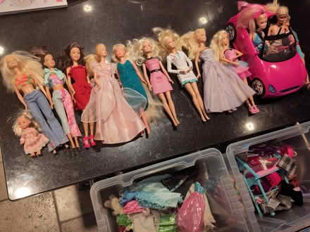 Photo of free A commune of Barbies (and a Ken) (Great Missenden, HP16) #1