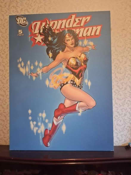 Photo of free Wonder Woman canvas (Morley LS27) #1