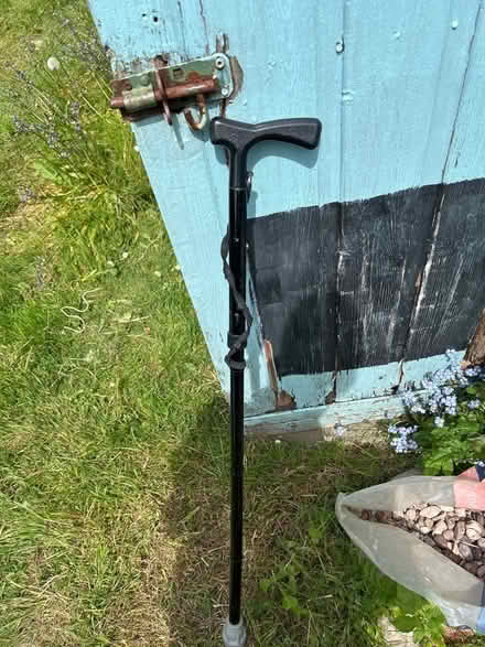 Photo of free walking stick/crutch (Dolwyd LL31) #2