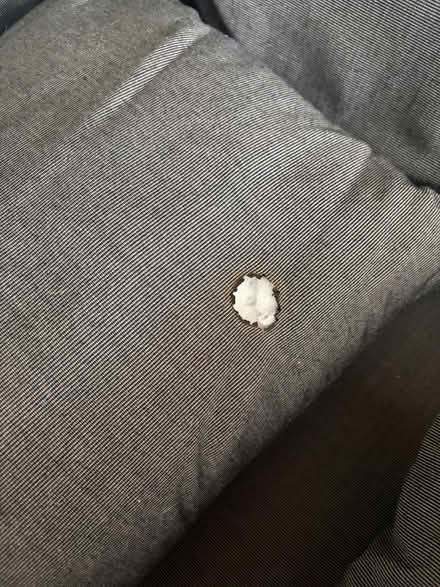 Photo of free Sofa/ fort building cushions (New Eltham SE9) #4