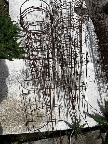 Photo of free Tomato cages (streetsville) #1