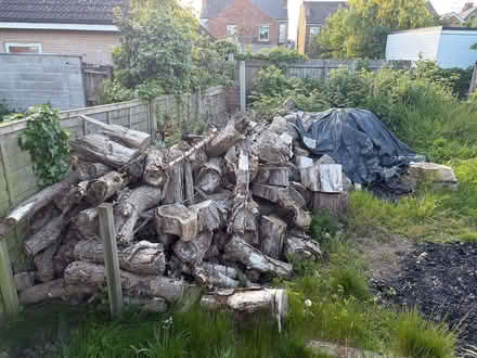 Photo of free Logs and split wood (Alvaston DE24) #2