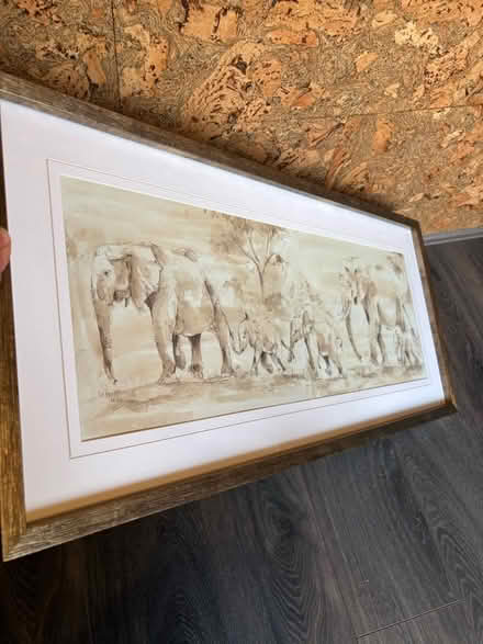 Photo of free Dunelm elephants print (Berwick Grange SY1) #3