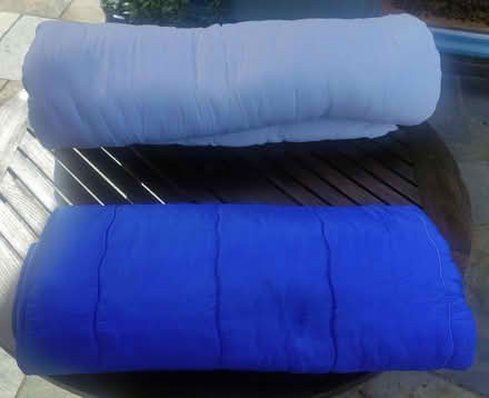 Photo of free Duvet & sleeping bag - dog beds ? (Tiffield NN12) #1