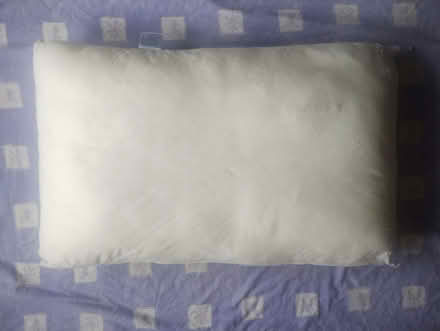 Photo of free Large cushion / pillow (Alnwickhill EH16) #1