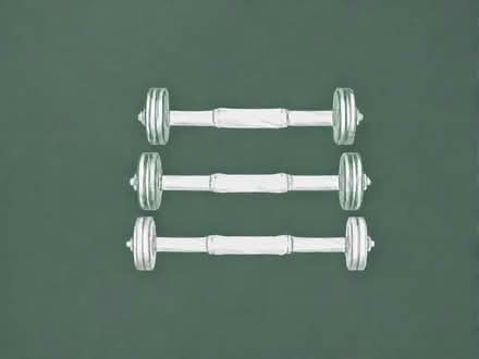 Photo of Dumbbells (Smithfield Gardens M4) #1