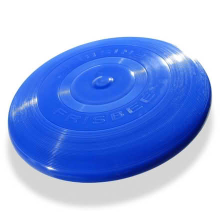 Photo of Frisbee(for Human Biomechanics ) (Birmingham B29 7AE) #1