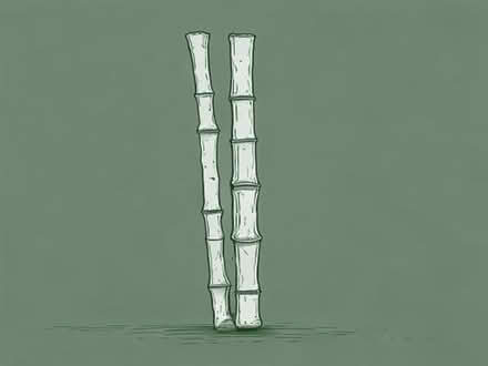 Photo of free Bamboo canes...tall (Parkhead EH11) #1