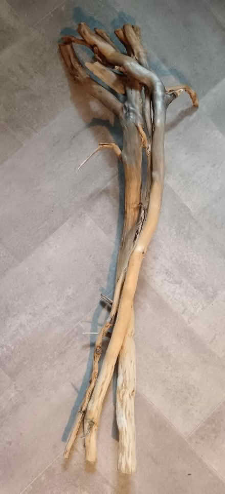 Photo of free Large Driftwood Piece (Longridge PR3) #1