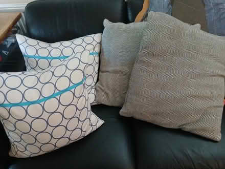 Photo of free Cushions (Hillsborough S6) #1