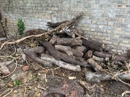 Photo of free Logs and Tree stumps (Highbury islington N5) #1