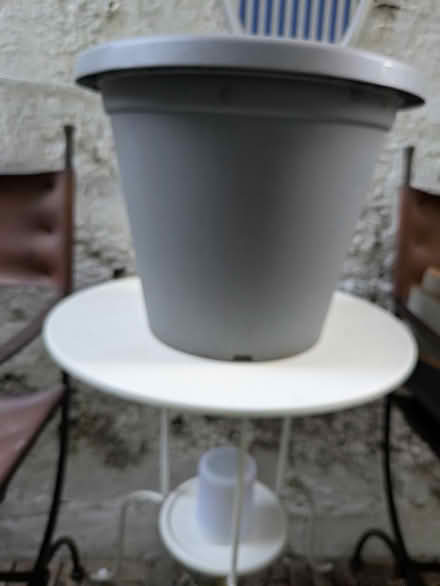 Photo of free Plastic Plant pots (Fulham) #1