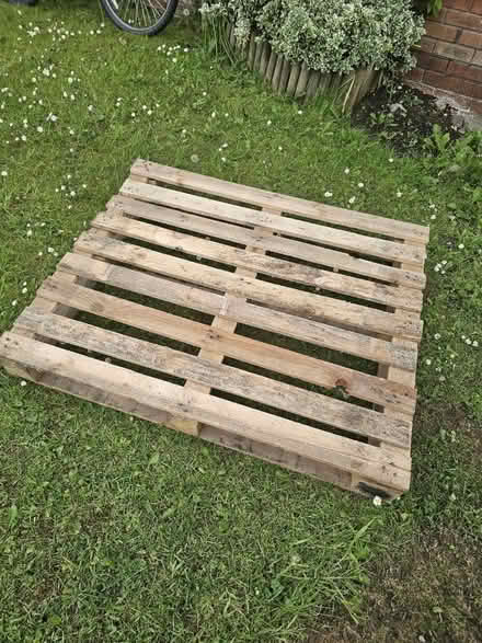 Photo of free Wooden pallet (Naas) #1