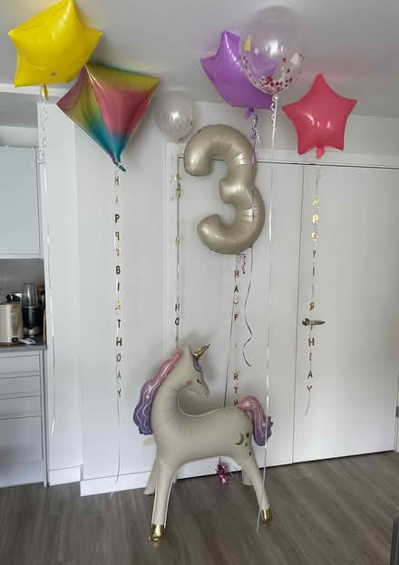 Photo of free Party balloons (Bath, Oldfield) #1