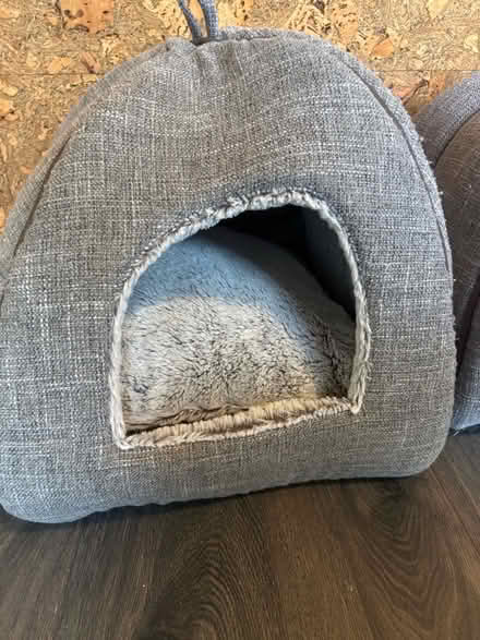Photo of free Pets at Home cat beds (Berwick Grange SY1) #2