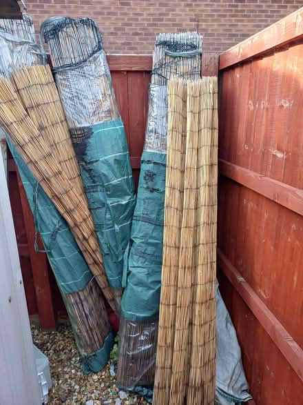 Photo of free Unused Reed Garden Screening (Dean Row SK9) #1