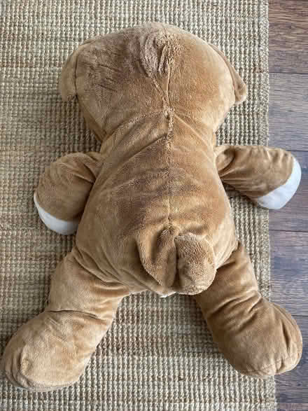 Photo of free Large teddy bear (Chigwell IG7) #3