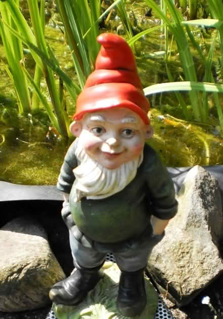 Photo of Garden gnome (BN1) #1