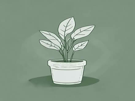 Photo of Large plant pots for outside (Hawarden CH5) #1