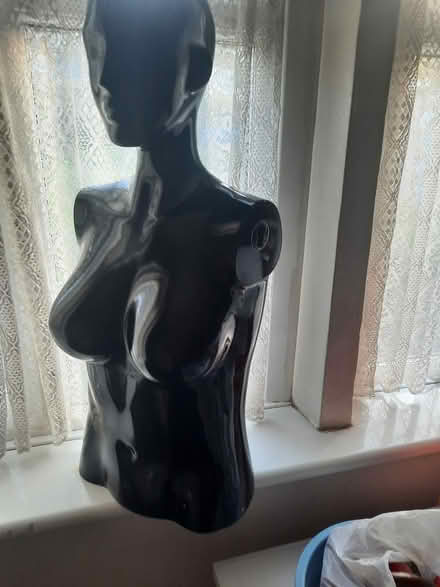 Photo of free Dummy [Black] (Erith, Kent DA8 3HU) #1