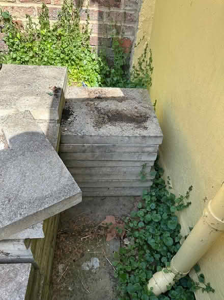 Photo of free Large Amount Of Paving Slabs (Holland Park W11) #4