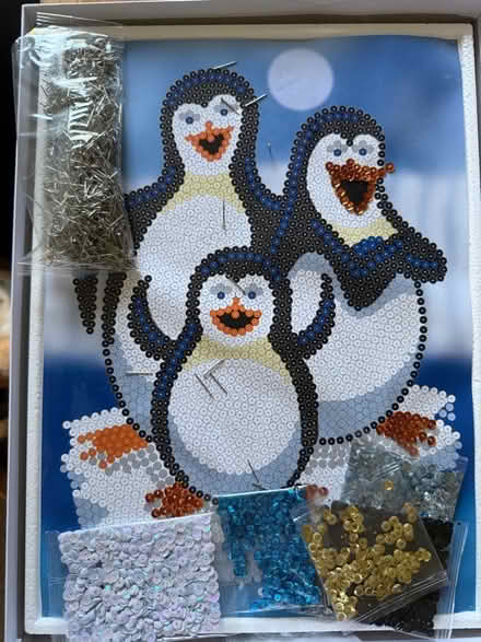 Photo of free Partly Starter Sequin Art (Kings Furlong RG21) #2