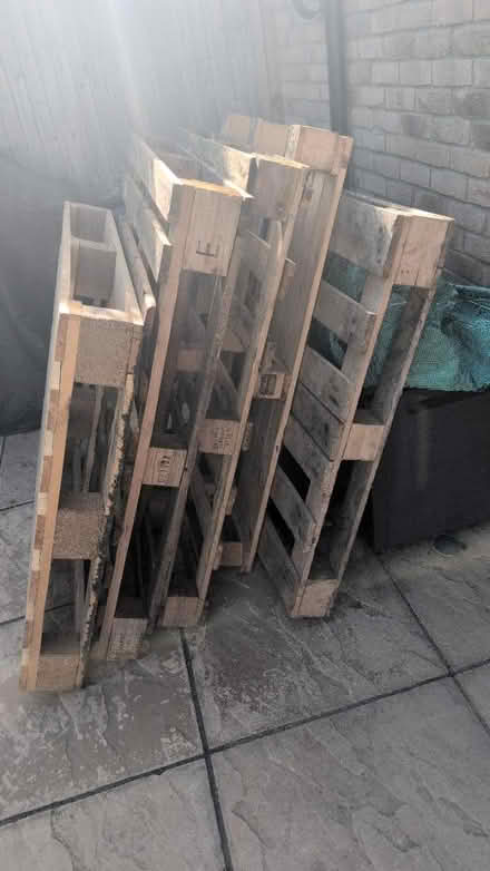 Photo of free 5 wooden pallets (Cheshunt EN8) #1
