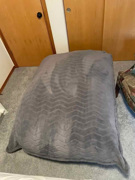 Photo of free Giant beanbag (Near Imlay Elementary) #1