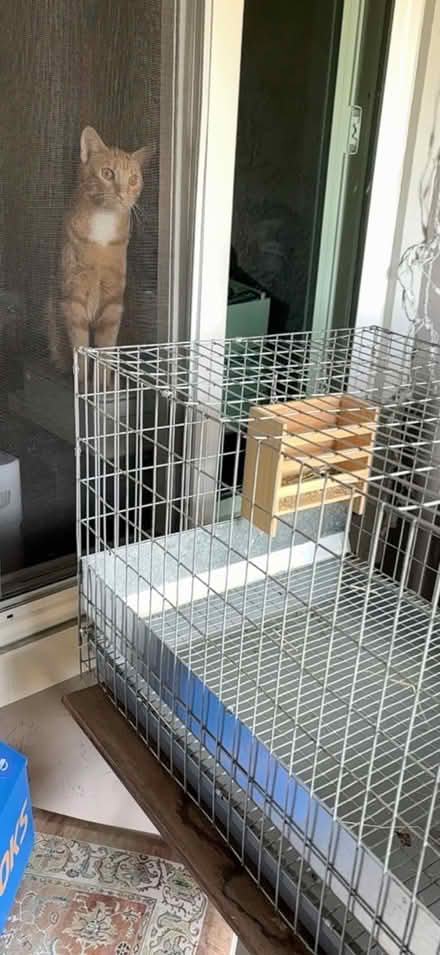 Photo of free Small pet cage (Alvarado-Niles) #4