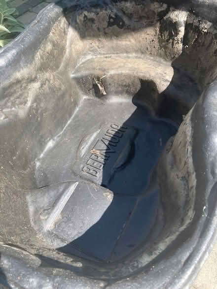 Photo of free Wild life pond (B98 7ll) #2
