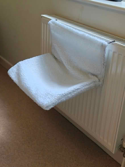 Photo of free Folding pet bed for radiators (Harrogate HG2) #2