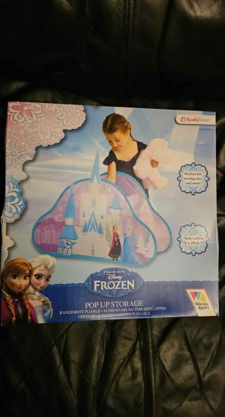 Photo of free Frozen pop up storage (Ramsey Mereside PE26) #1